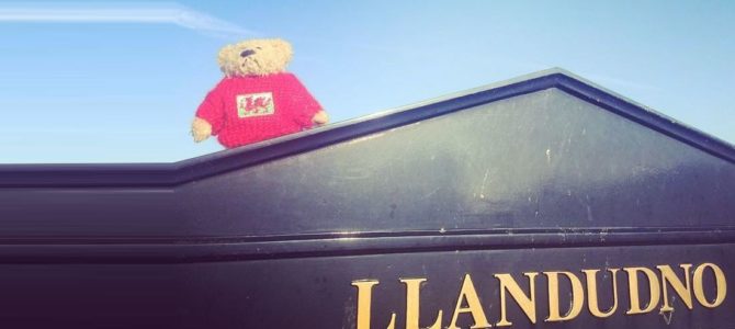 Day zero, a bear was reborn in Llandudno, Wales
