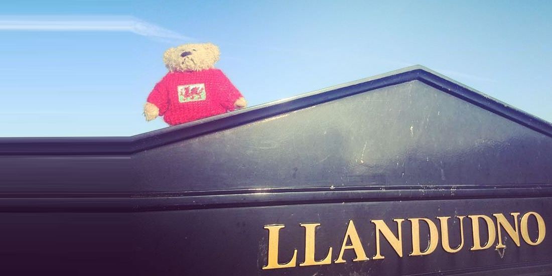 Day zero, a bear was reborn in Llandudno, Wales