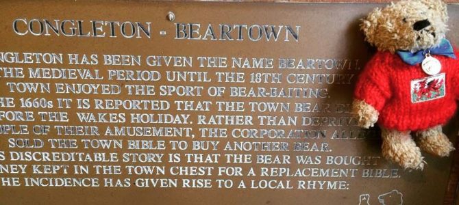 A bear in beartown and beyond (Congleton, Leek and Biddulph Grange)